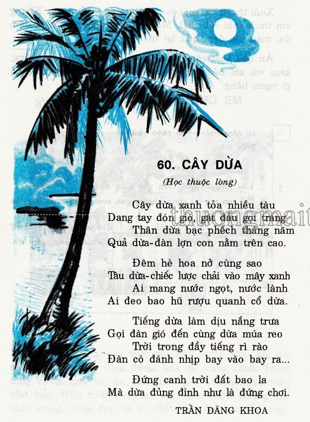 Trắc nghiệm cây dừa ; trắc nghiệm bài cây dừa ; cây dừa đọc hiểu ; đọc hiểu cây dừa ; cây dừa