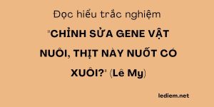 chỉnh sửa gene vật nuôi ; đọc hiểu chỉnh sửa gene vật nuôi  ; trắc nghiệm chỉnh sửa gene vật nuôi ; chỉnh sửa gene vật nuôi đọc hiểu ; chỉnh sửa gene vật nuôi trắc nghiệm ;