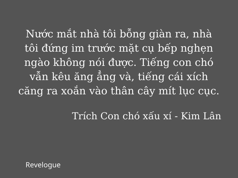 phân tích đánh giá con chó xấu xí ; phân tích đánh giá truyện ngắn con chó xấu xí