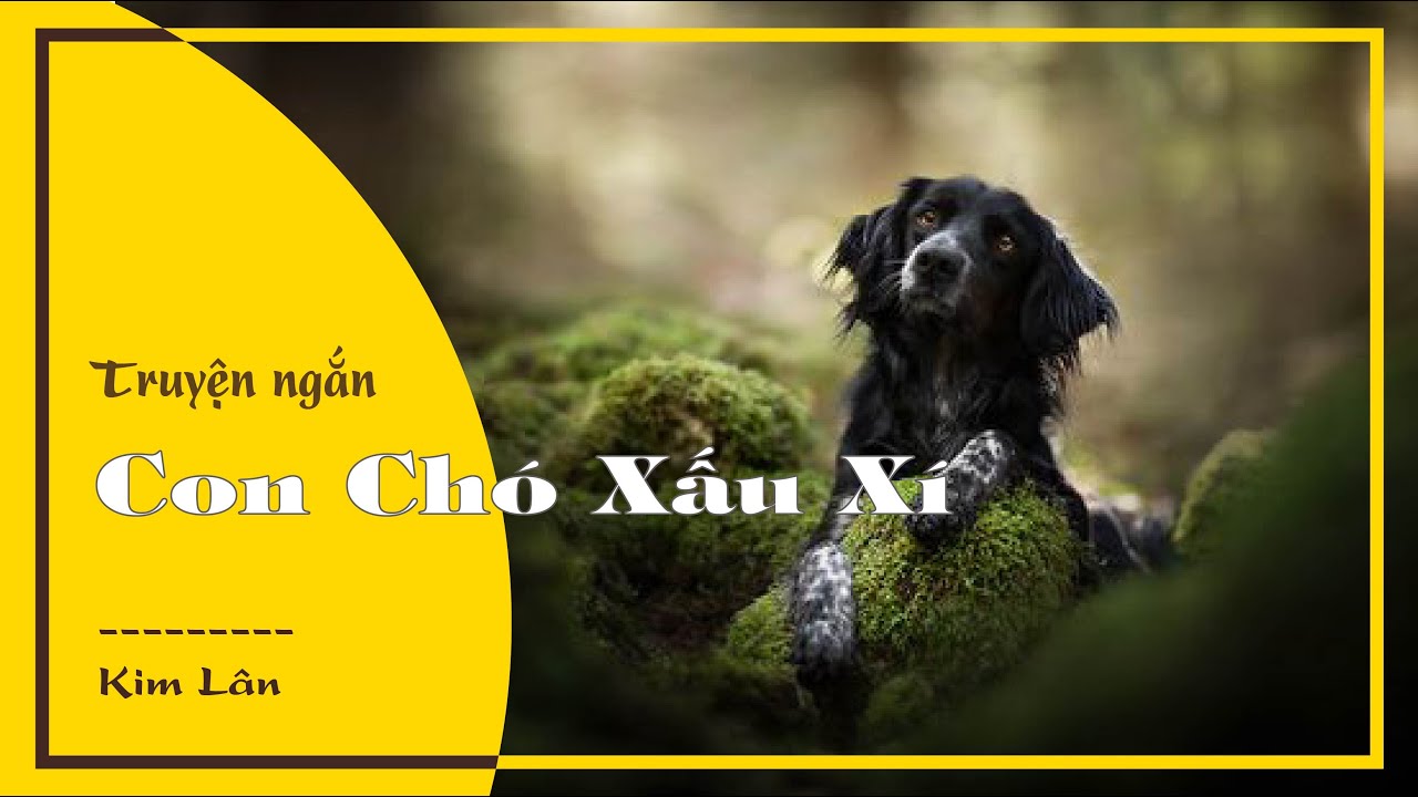 phân tích đánh giá con chó xấu xí ; phân tích đánh giá truyện ngắn con chó xấu xí