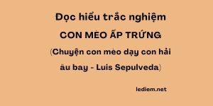 con mèo ấp trứng ; trắc nghiệm con mèo ấp trứng ; đọc hiểu con mèo ấp trứng ; con mèo ấp trứng trắc nghiệm ; con mèo ấp trứng đọc hiểu