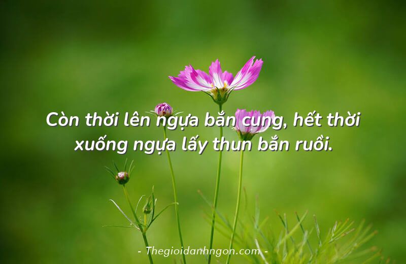 còn thời cưỡi ngựa bắn cung ; trắc nghiệm còn thời cưỡi ngựa bắn cung ; còn thời cưỡi ngựa bắn cung đọc hiểu ; còn thời cưỡi ngựa bắn cung trắc nghiệm ; đọc hiểu còn thời cưỡi ngựa bắn cung