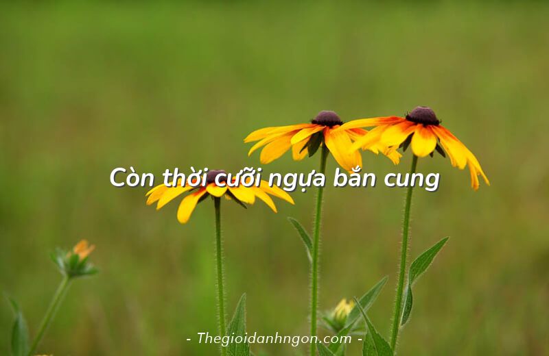 còn thời cưỡi ngựa bắn cung ; trắc nghiệm còn thời cưỡi ngựa bắn cung ; còn thời cưỡi ngựa bắn cung đọc hiểu ; còn thời cưỡi ngựa bắn cung trắc nghiệm ; đọc hiểu còn thời cưỡi ngựa bắn cung