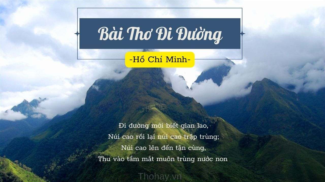 Đi đường hồ chí minh ; trắc nghiệm đi đường hồ chí minh ; đọc hiểu đi đường hồ chí minh ; đi đường hồ chí minh đọc hiểu ; đi đường hồ chí minh trắc nghiệm