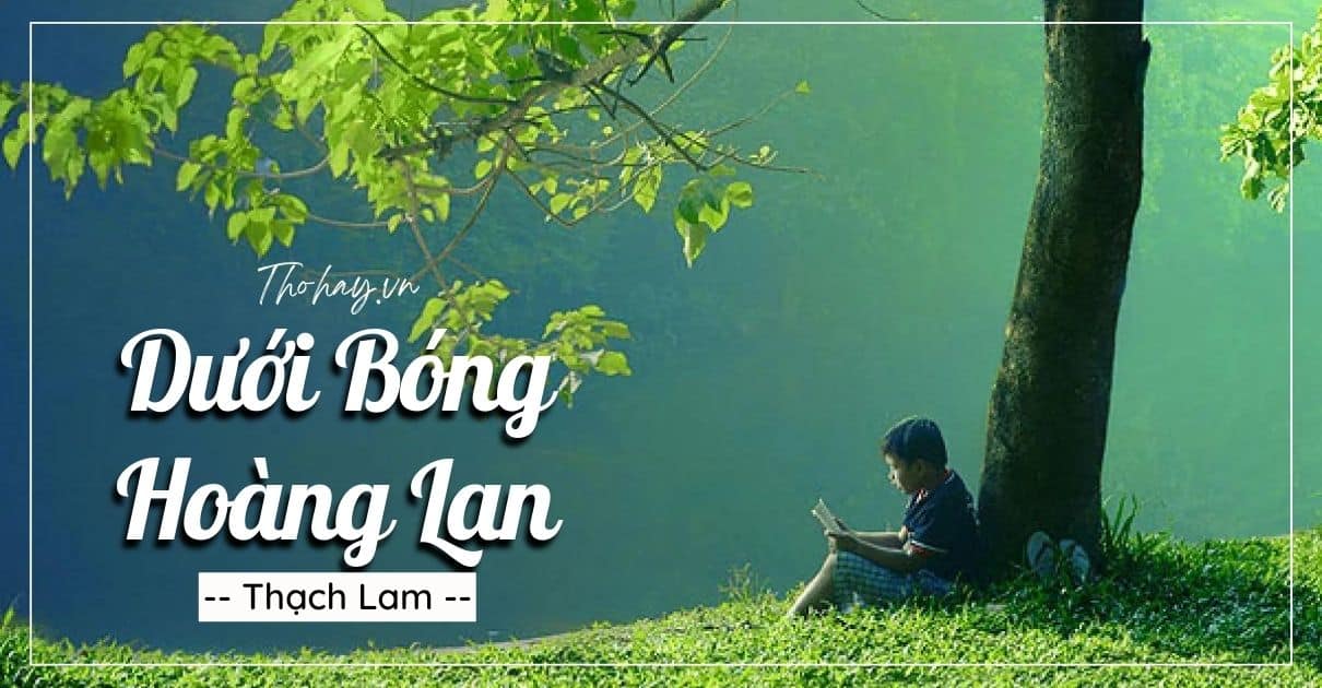 dưới bóng hoàng lan truyện ngắn gợi nghĩ ; trắc nghiệm dưới bóng hoàng lan truyện ngắn gợi nghĩ ; đọc hiểu dưới bóng hoàng lan truyện ngắn gợi nghĩ ; dưới bóng hoàng lan truyện ngắn gợi nghĩ đọc hiểu ; dưới bóng hoàng lan truyện ngắn gợi nghĩ trắc nghiệm