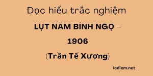 lụt năm bính ngọ; lụt năm bính ngọ đọc hiểu ; trắc nghiệm lụt năm bính ngọ ; đọc hiểu lụt năm bính ngọ ; trắc nghiệm bài lụt năm bính ngọ ;