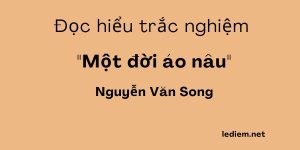 một đời áo nâu ; trắc nghiệm một đời áo nâu ; một đời áo nâu đọc hiểu