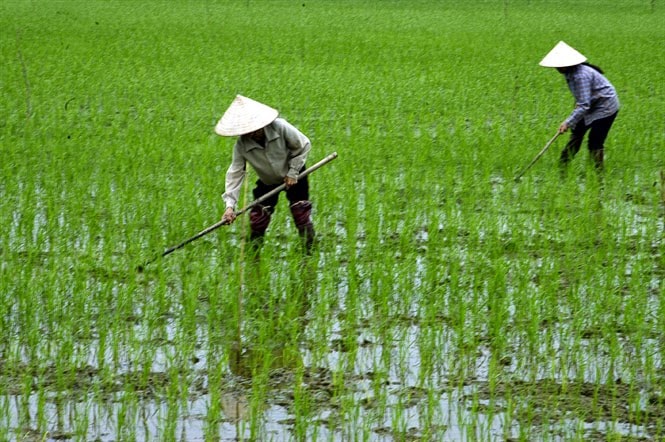 Tháng ba Hoàng Vân ; đọc hiểu tháng ba hoàng vân ; trắc nghiệm tháng ba hoàng vân ; trắc nghiệm bài tháng ba hoàng vân