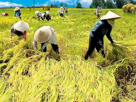 chốn quê ; đọc hiểu chốn quê ; trắc nghiệm chốn quê ; trắc nghiệm bài chốn quê ; chốn quê trắc nghiệm ; chốn quê đọc hiểu ; đọc hiểu bài chốn quê trắc nghiệm