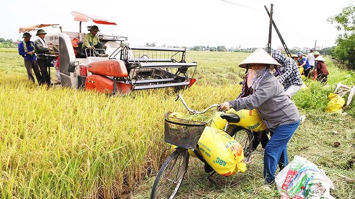 chốn quê ; đọc hiểu chốn quê ; trắc nghiệm chốn quê ; trắc nghiệm bài chốn quê ; chốn quê trắc nghiệm ; chốn quê đọc hiểu ; đọc hiểu bài chốn quê trắc nghiệm