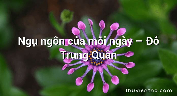 ngụ ngôn của mỗi ngày ; ngụ ngôn của mỗi ngày đọc hiểu ; trắc nghiệm ngụ ngôn của mỗi ngày ; Ngụ ngôn của mỗi ngày trắc nghiệm ; trắc nghiệm ngụ ngôn của mỗi ngày đọc hiểu