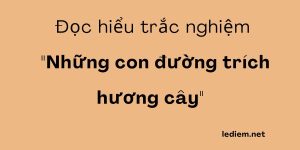 những con đường trích hương cây ;  trắc nghiệm những con đường trích hương cây ; đọc hiểu những con đường trích hương cây