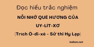 nỗi nhớ quê hương của uy lít xơ ; trắc nghiệm nỗi nhớ quê hương của uy lít xơ ; đọc hiểu nỗi nhớ quê hương của uy lít xơ