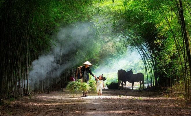 quê hương nguyễn đình huân ; trắc nghiệm quê hương nguyễn đình huân ; đọc hiểu quê hương nguyễn đình huân ; quê hương nguyễn đình huân đọc hiểu ; quê hương nguyễn đình huân trắc nghiệm