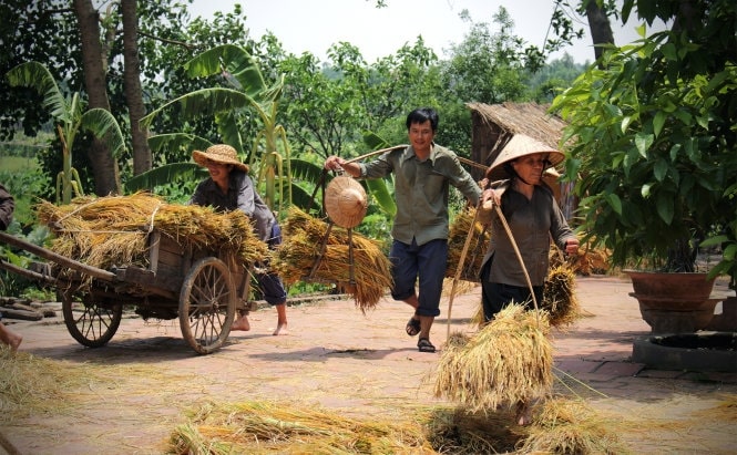 bỗng nhiên nhớ quê mình ; bỗng nhiên nhớ quê mình nguyễn đình ánh ; đọc hiểu bỗng nhiên nhớ quê mình ; trắc nghiệm bỗng nhiên nhớ quê mình