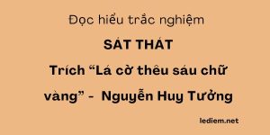 sát thát ; trắc nghiệm sát thát ; đọc hiểu bài sát thát ; đọc hiểu sát thát ; sát thát trắc nghiệm ; sát thát đọc hiểu