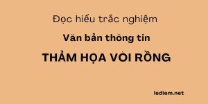 thảm họa vòi rồng ; trắc nghiệm thảm hoạ vòi rồng ; đọc hiểu thảm hoạ vòi rồng ; thảm hoạ vòi rồng đọc hiểu ; thảm hoạ vòi rồng trắc nghiệm