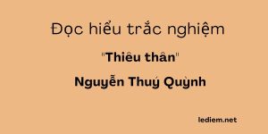 thiêu thân ; thiêu thân nguyễn thúy quỳnh ; đọc hiểu thiêu thân ; đọc hiểu thiêu thân nguyễn thúy quỳnh