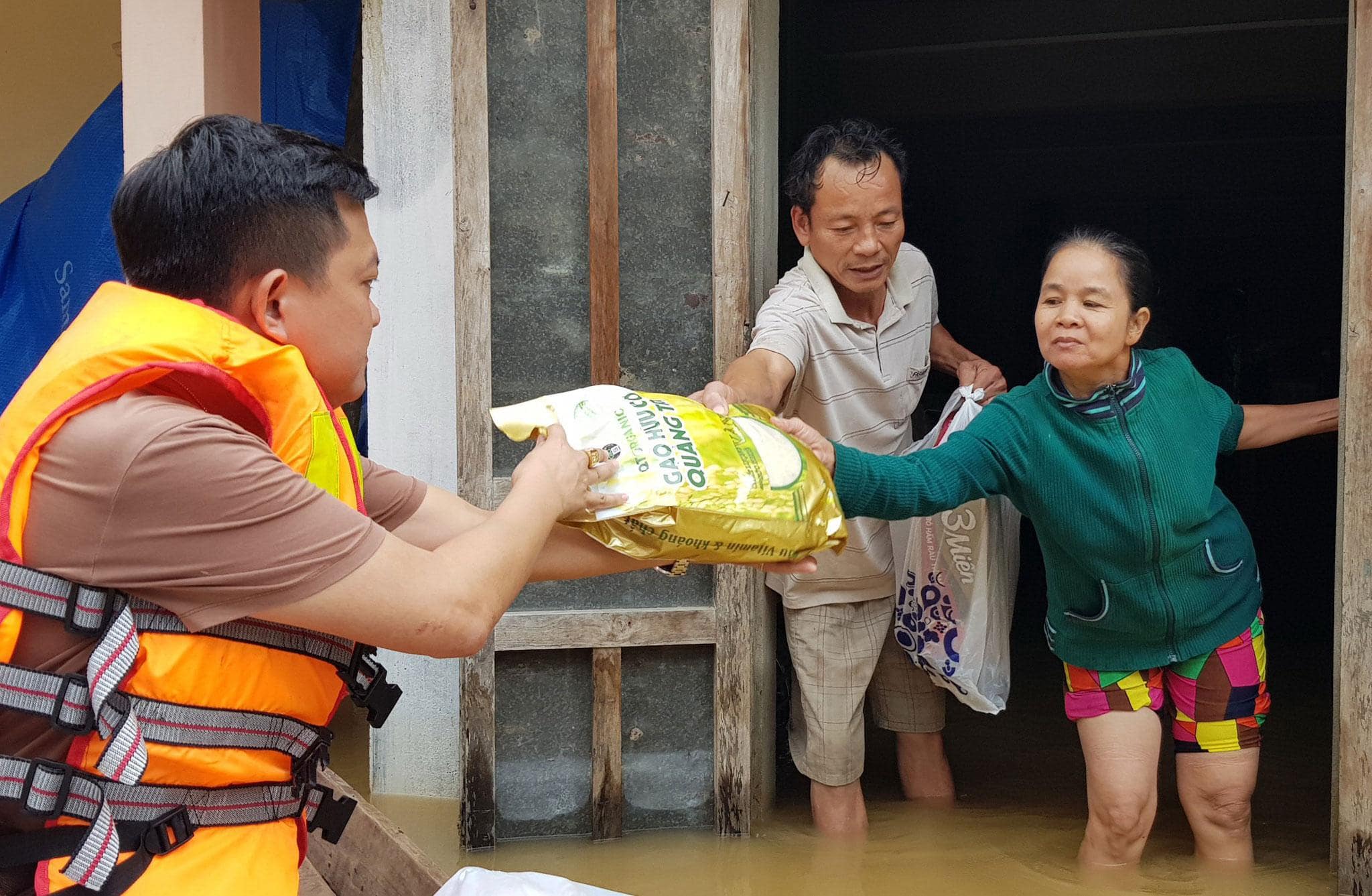 Từ thiện Tạ Tư Vũ ; trắc nghiệm từ thiện tạ tư vũ ; đọc hiểu từ thiện tạ tư vũ