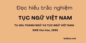 Tục ngữ việt nam ; đọc hiểu tục ngữ việt nam ; trắc nghiệm tục ngữ việt nam ; trắc nghiệm tục ngữ ;