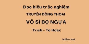 võ sĩ bọ ngựa ; trắc nghiệm bài võ sĩ bọ ngựa ; trắc nghiệm võ sĩ bọ ngựa ; đọc hiểu bài võ sĩ bọ ngựa ; đọc hiểu võ sĩ bọ ngựa