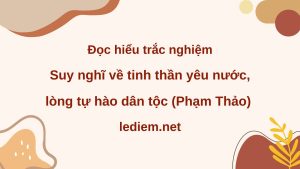 suy nghĩ về tinh thần yêu nước ; đọc hiểu suy nghĩ về tinh thần yêu nước ; trắc nghiệm suy nghĩ về tinh thần yêu nước