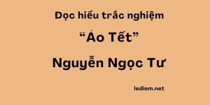 đọc hiểu áo tết ; trắc nghiệm áo tết