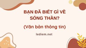 bạn đã biết gì về sóng thần ; trắc nghiệm bạn đã biết gì về sóng thần ; đọc hiểu bạn đã biết gì về sóng thần