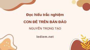 con đê trên bán đảo ; Con đê trên bản đảo đọc hiểu ; đọc hiểu con đê trên bản đảo