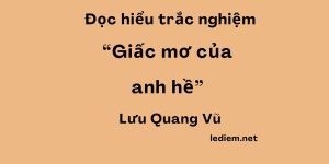 giấc mơ của anh hề ; trắc nghiệm giấc mơ của anh hề ; đọc hiểu giấc mơ của anh hề ; giấc mơ của anh hề đọc hiểu ; giấc mơ của anh hề trắc nghiệm