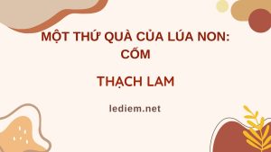 một thứ quà của lúa non cốm; Đọc hiểu Một thứ quà của lúa non cốm ; trắc nghiệm một thứ quà của lúa non cốm ; một thứ quà của lúa non cốm đọc hiểu ; một thứ quà của lúa non cốm trắc nghiệm