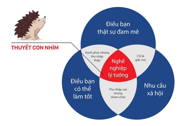 nghề nghiệp trong tương lai ; Lựa chọn nghề nghiệp trong tương lai ; định hướng nghề nghiệp trong tương lai