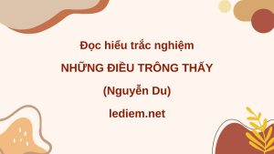 những điều trông thấy ; đọc hiểu những điều trông thấy ; trắc nghiệm những điều trông thấy