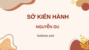 sở kiến hành ; đọc hiểu sở kiến hành ; trắc nghiệm sở kiến hành ; sở kiến hành đọc hiểu ; sở kiến hành trắc nghiệm