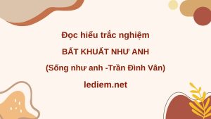 sống như anh ; đọc hiểu sống như anh ; trắc nghiệm sống như anh