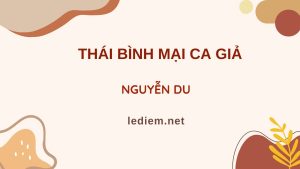 thái bình mại ca giả ; đọc hiểu thái bình mại ca giả ; trắc nghiệm thái bình mại ca giả ; thái bình mại ca giả đọc hiểu ; thái bình mại ca giả trắc nghiệm 