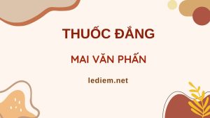 thuốc đắng mai văn phấn ; đọc hiểu thuốc đắng mai văn phấn ; trắc nghiệm thuốc đắng mai văn phấn ; thuốc đắng mai văn phấn đọc hiểu ; thuốc đắng mai văn phấn trắc nghiệm