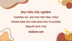 thương vợ bài thơ trữ tình trào phúng ; đọc hiểu thương vợ bài thơ trữ tình trào phúng ; trắc nghiệm thương vợ bài thơ trữ tình trào phúng