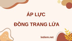 áp lực đồng trang lứa ; áp lực đồng trang lứa là gì ; Thực trạng áp lực đồng trang lứa ; Nghĩ luận về áp lực đồng trang lứa