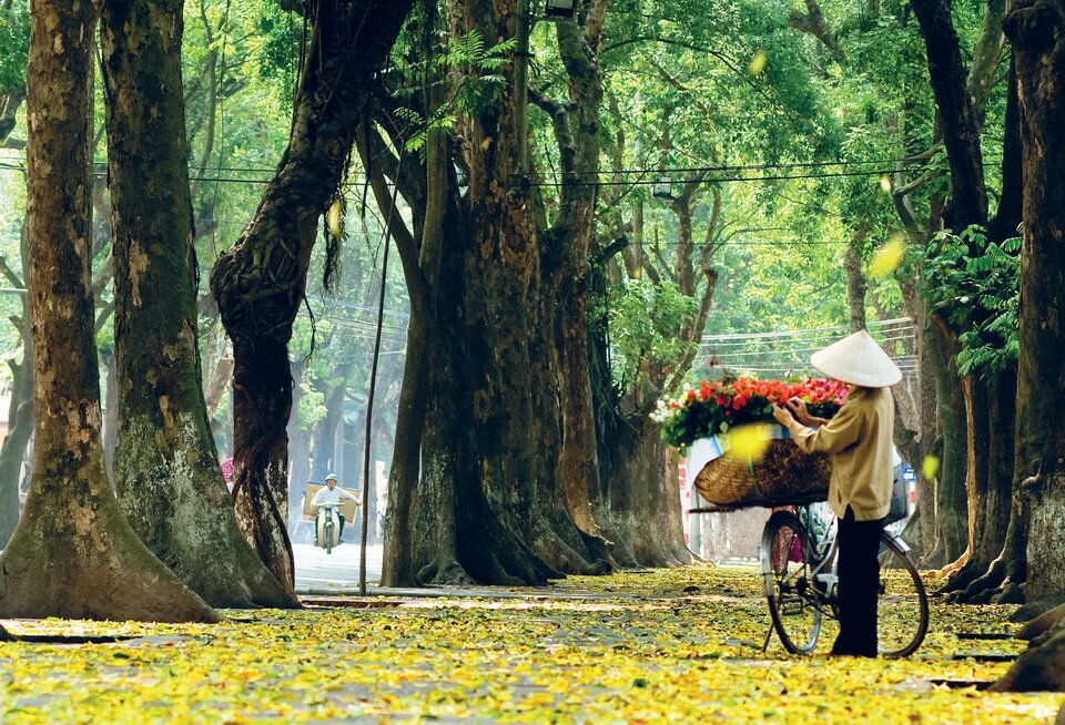 Phân tích đánh giá Nhớ mùa thu Hà Nội ; phân tích đánh giá bài thơ Nhớ mùa thu Hà Nội