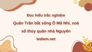 Quân Trần bắt sống Ô Mã Nhi  ; đọc hiểu Quân Trần bắt sống Ô Mã Nhi  ; trắc nghiệm Quân Trần bắt sống Ô Mã Nhi  