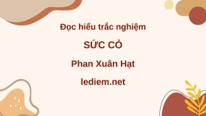 sức cỏ ; đọc hiểu sức cỏ ; trắc nghiệm sức cỏ