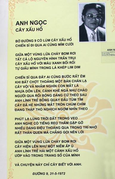 Trắc nghiệm cây xấu hổ  