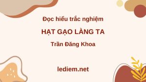 hạt gạo làng ta ; đọc hiểu hạt gạo làng ta ; trắc nghiệm hạt gạo làng ta