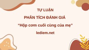 phân tích đánh giá hộp cơm cuối cùng của mẹ ; phân tích đánh giá truyện ngắn hộp cơm cuối cùng của mẹ