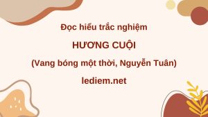 hương cuội ; đọc hiểu hương cuội ; trắc nghiệm hương cuội