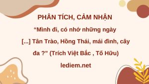 mình đi có nhớ những ngày ; mình đi có nhớ những ngày mưa nguồn suối lũ ; mình đi có nhớ những ngày mưa nguồn suối lũ những mây cùng mù ; cảm nhận đoạn thơ mình đi có nhớ những ngày