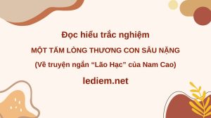 một tấm lòng thương con sâu nặng ; đọc hiểu một tấm lòng thương con sâu nặng ; trắc nghiệm một tấm lòng thương con sâu nặng