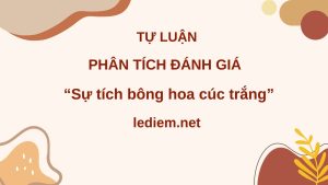 phân tích đánh giá sự tích bông hoa cúc trắng ; phân tích đánh giá truyện ngắn sự tích bông hoa cúc trắng