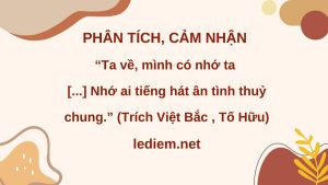 ta về mình có nhớ ta ; ta về mình có nhớ ta ta về ta nhớ những hoa cùng người ; cảm nhận ta về mình có nhớ ta